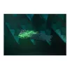 Laidinė žaidimų klaviatūra Razer Huntsman V2 — spragsintys Purple optiniai jungikliai, RGB LED