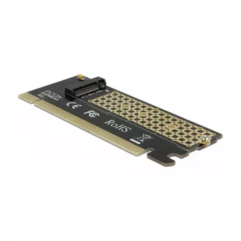 Vidinis M.2 adapteris DeLOCK 90300