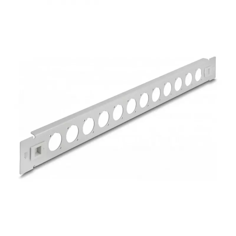 Patch panel DeLOCK 19 inch D-Type 12 port bevielis montavimas pilkas