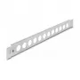 Patch panel DeLOCK 19 inch D-Type 12 port bevielis montavimas pilkas