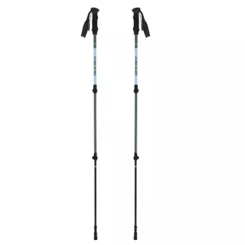 Suaugusiųjų lazdos VIKING Kivi 2.0 Trekking Green UNI