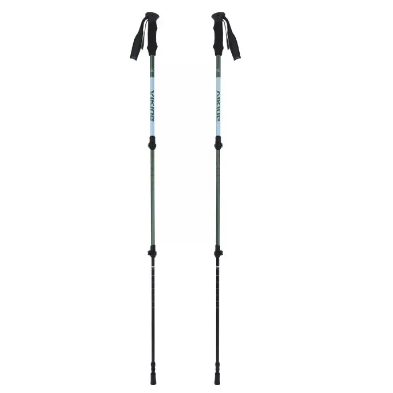 Suaugusiųjų lazdos VIKING Kivi 2.0 Trekking Green UNI