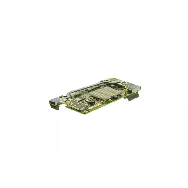 “Smart Array P220i” valdiklis
