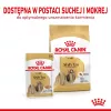 ROYAL CANIN Shih Tzu suaugusiems šunims šlapias ėdalas paštetas 12x85 g