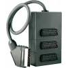 SCART adapteris Schwaiger SCV7030 533 1x SCART 3 išėjimai