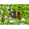Gardena 13312-20 gaminys 2 l, juodas