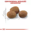 ROYAL CANIN Sterilised 7+ – sausas kačių ėdalas – 10 kg