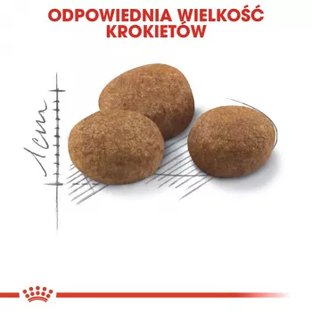 ROYAL CANIN Sterilised 7+ – sausas kačių ėdalas – 10 kg