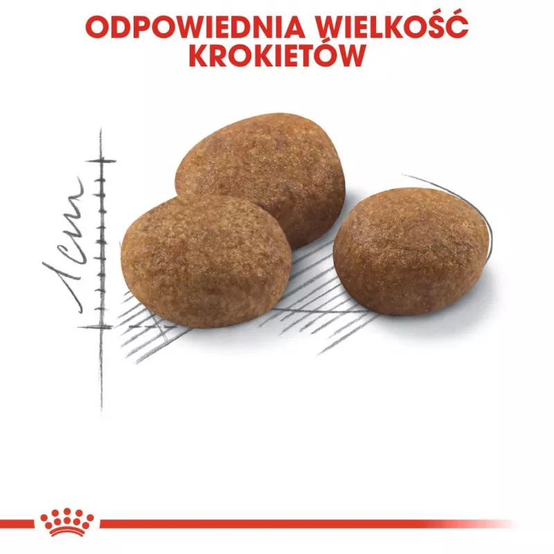 ROYAL CANIN Sterilised 7+ – sausas kačių ėdalas – 10 kg