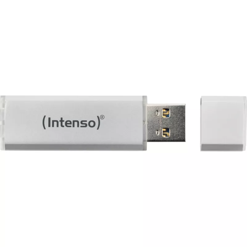 USB atmintukas Intenso 256 GB USB Type-A 3.2 Gen 1 Sidabrinis