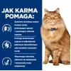 HILL'S PD K/D Kidney + Mobility Chicken - sausas kačių maistas - 3kg