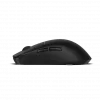 Pelė Endgame Gear OP1w 4k Wireless