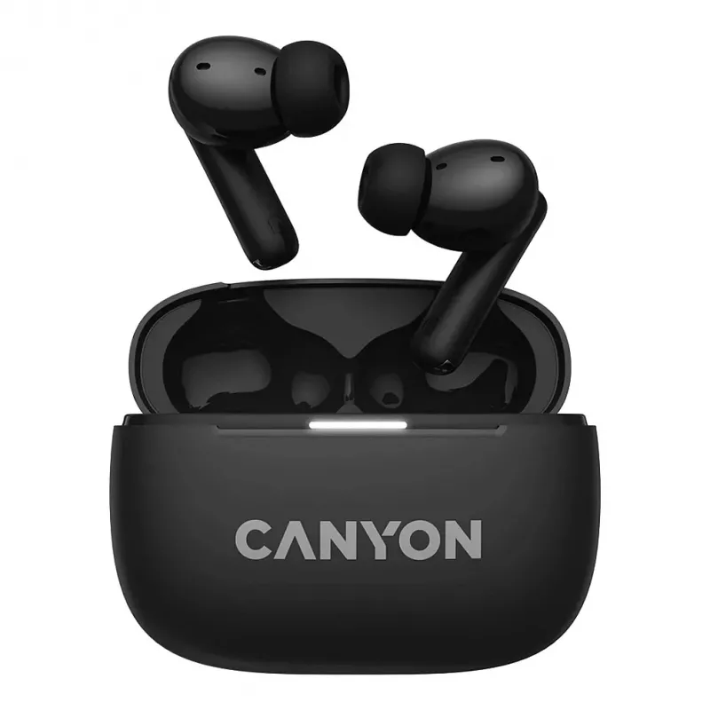 Ausinės Canyon CNS-TWS10B