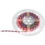 LED juostelė EUROLITE 50530136, 5 m, 5050 SMD RGB, 12 V