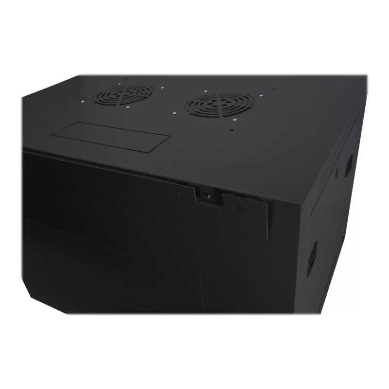 DIGITUS Dynamic Basic DN-19 16-U-EC-SW - Spinta - Tinklo spinta - tinkama montuoti ant sienos - RAL 9005 - 16U - 48,3 cm (19 inch)