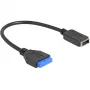 DeLOCK USB laidas kontaktinė jungtis vidiniam USB Type-E Key A 25 cm