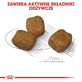 Sausas šunų maistas Royal Canin Mini Dental Care 3 kg — suaugę mažų veislių šunys, paukštienos skonio, dantų priežiūra