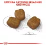 Sausas šunų maistas Royal Canin Mini Dental Care 3 kg — suaugę mažų veislių šunys, paukštienos skonio, dantų priežiūra
