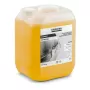 Karcher PressurePro RM 750 intensyvus gilus valiklis - 10 L