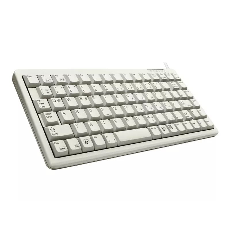 Cherry G84-4100 kompaktiška klaviatūra, šviesiai pilka, USB/PS/2