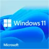 Windows 11 Home, operacinės sistemos programinė įranga 64 bitų, vokiečių, USB atmintinė