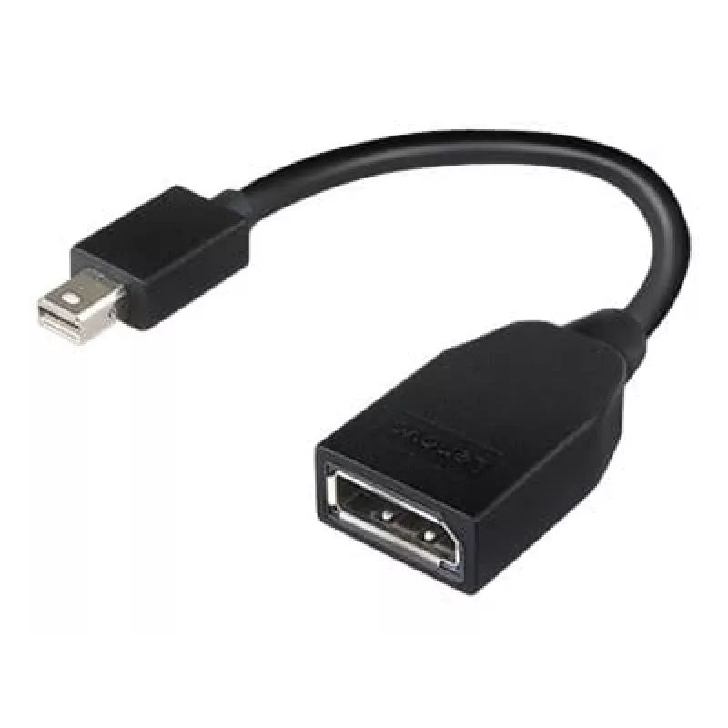 Lenovo 4X90L13971 DisplayPort kabelis Mini DisplayPort juodas