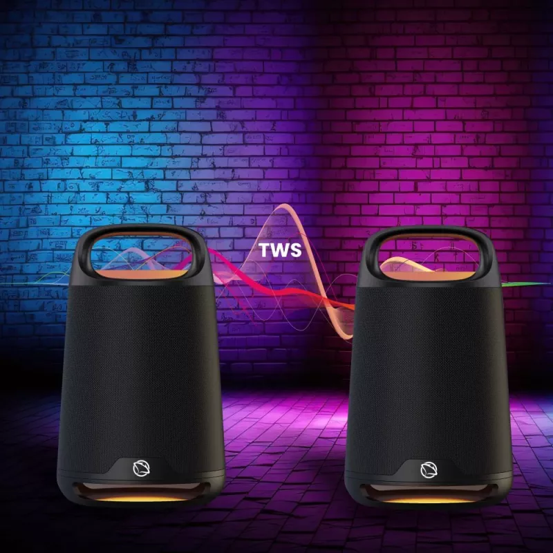 Nešiojamas garsiakalbis MANTA SPK330B Otus — Bluetooth, Karaoke, TWS, SUPERBASS, MIC, USB-C (19×19×33,2 cm)