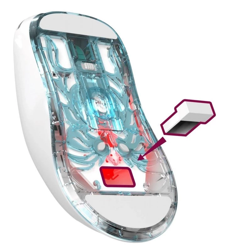 BELAIDĖ PELĖ DEFENDER FAME GM-516 RF+BT 10000DPI 6P BALTA