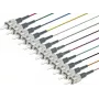 Lightwin PIG 50 ST-12 2.0 OM3 jungiamumo priedas