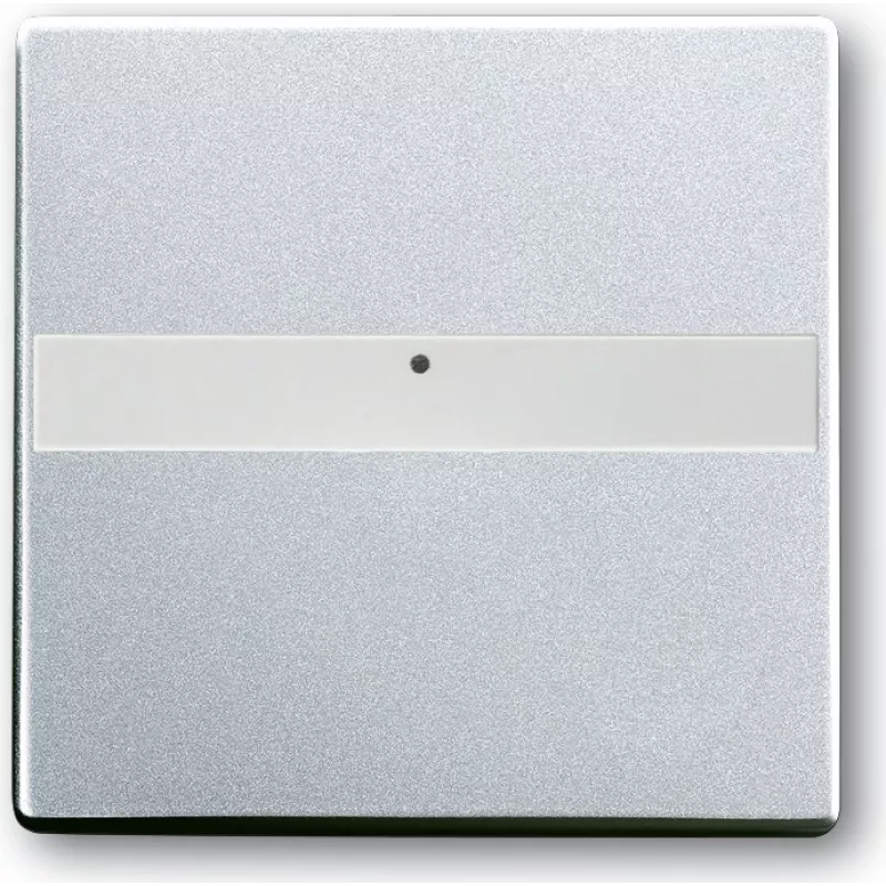 Busch Jaeger 1764 NLI-83 Silver (1731-0-1948)
