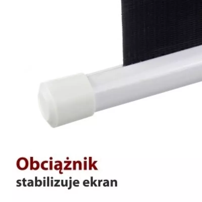 Elektrinis ekranas 16:9 119 su nuotolinio valdymo pultu 264x147cm FS-119 16 9