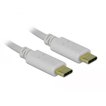 Delock - USB-C / maitinimo laidas - 24 kontaktų USB-C (V) į 24 kontaktų USB-C (V) - 5 A - 15 cm - USB maitinimo šaltinis (100 W), palaiko „Power Delivery 2.0“ - balta (85357)