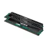 Patriot Viper 3 16GB (2 X 8GB) DDR3 1600 (PC3 12800) Stacionaraus kompiuterio atminties modulis PV316G160C0K