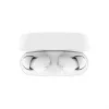 Ausinės Belkin SoundForm Rhythm