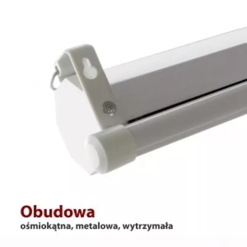 Elektrinis ekranas 16:9 119 su nuotolinio valdymo pultu 264x147cm FS-119 16 9