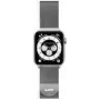 Laut International plieninis kilpinis laikrodžio dirželis 42/44 mm sidabrinis