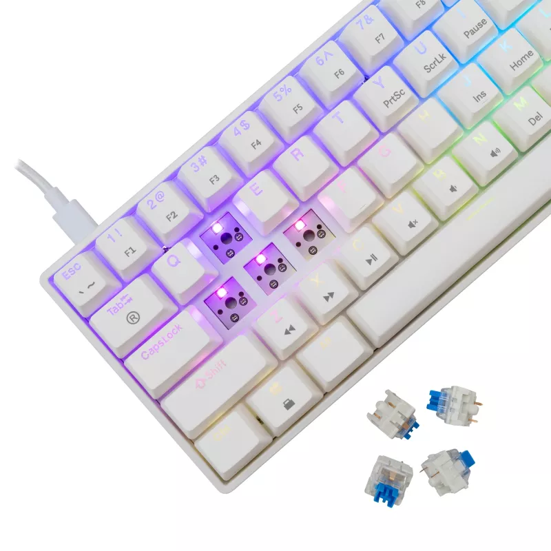 Laidinė mechaninė klaviatūra White Shark Shinobi-2 (GK-004221) — mėlyni jungikliai, balta, JAV išdėstymas