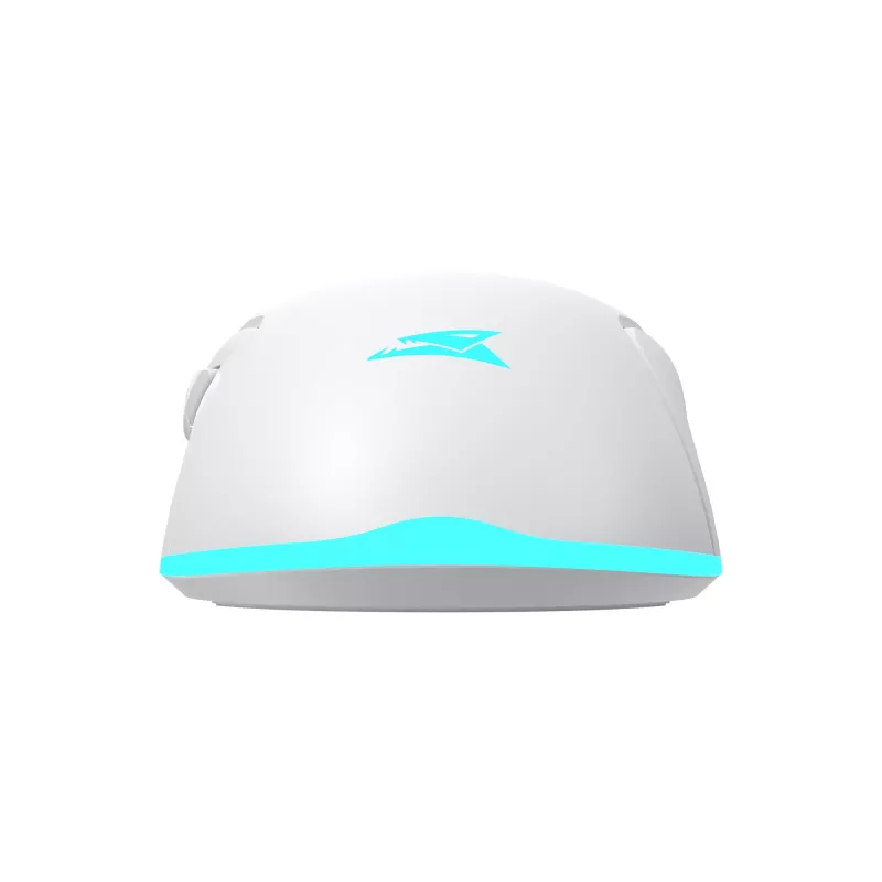 Pelė Baracuda BGM-122 Turtle balta TURTLE-W