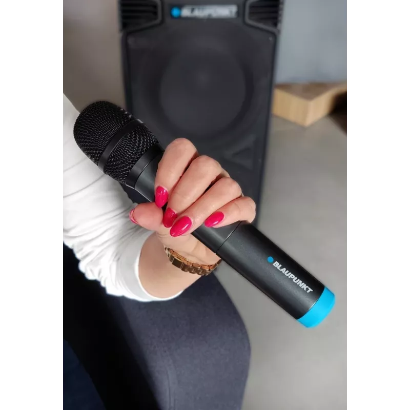 Mikrofonas Blaupunkt WM60UDB