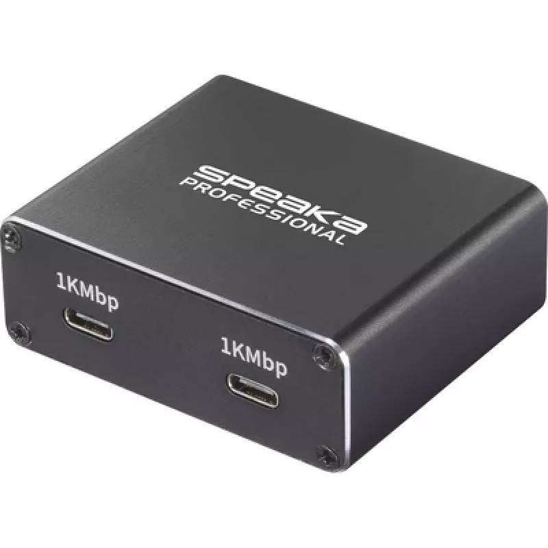 SpeaKa Professional SP-GNS-240 daliklis 10/100/1000 MBit/s (SP-13677768)