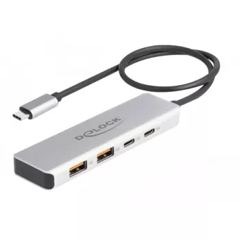 DeLOCK USB šakotuvas USB Type-C 10 Gbps 2x Type-A 2x Type-C 35 cm kabelis
