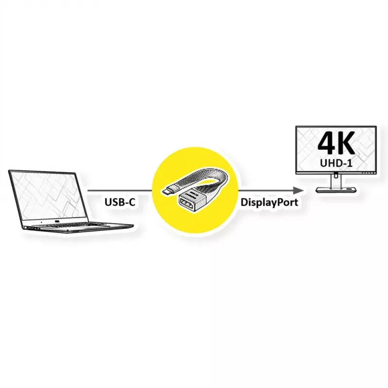 ROTRONIC-SECOMP Roline - adapterio kabelis - USB-C (kištukas) į DisplayPort (lizdas)
