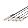 Digitus 40G QSFP+ į 4x SFP+ tiesioginio prijungimo kabelis 3 m