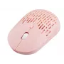 Pelė Tracer PUNCH RF belaidė optinė 800 DPI