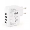 UNIVERSALUS USB ĮKROVIKLIS BALTAS/4 PORTŲ EG-U4AC-02 GEMBIRD