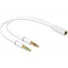 Audio kabelis DeLOCK 65585 0,2 m 2x 3,5 mm kištukas į 3,5 mm lizdą baltas