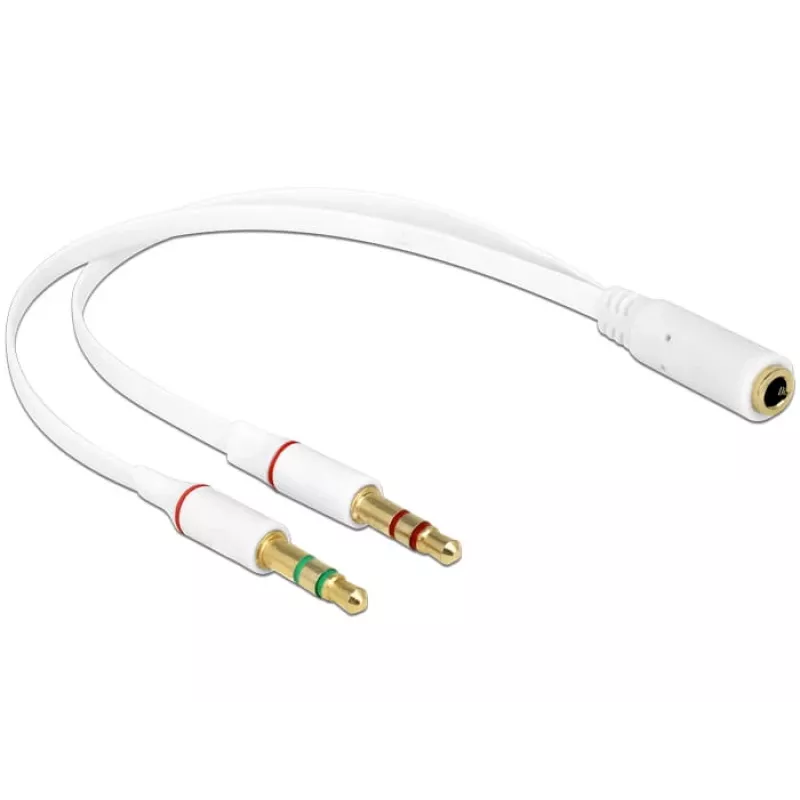Audio kabelis DeLOCK 65585 0,2 m 2x 3,5 mm kištukas į 3,5 mm lizdą baltas