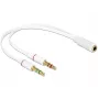 Audio kabelis DeLOCK 65585 0,2 m 2x 3,5 mm kištukas į 3,5 mm lizdą baltas