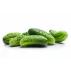 Srem Cucumber F1 Toraf daržovių sėklos, 5g pakuotė