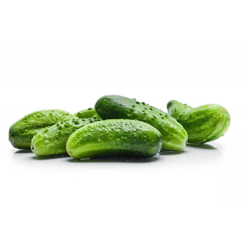 Srem Cucumber F1 Toraf daržovių sėklos, 5g pakuotė